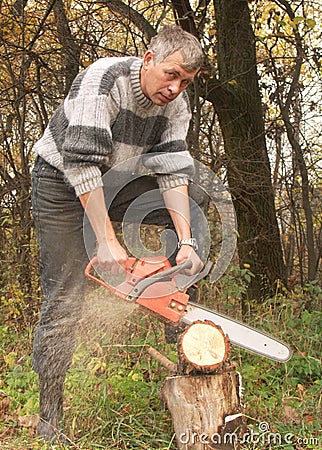 Wood-cutter Stock Photo