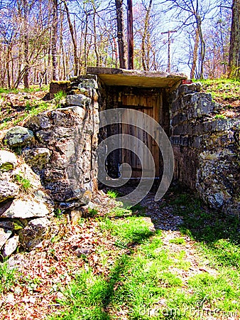 Wood Door in the Middle of the Woods Stock Photo