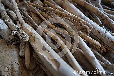 Detail of drifted wood Stock Photo
