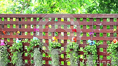 Wood Fence and Animals Pot Flower and Decorate Plant Hanging in Garden  Stock Footage - Video of food, bright: 166454922