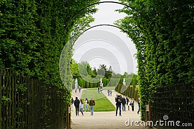 A wood fence in the gardens of Versailles Editorial Stock Photo