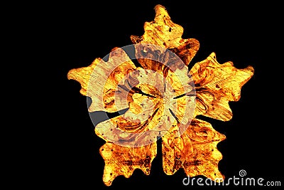 Wood flower 3d illustration Cartoon Illustration