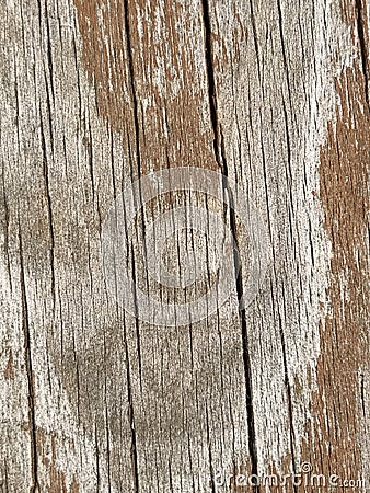 Wood grain Stock Photo