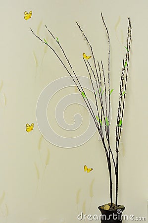 Wood grain butterfly picture and four background white tree Stock Photo