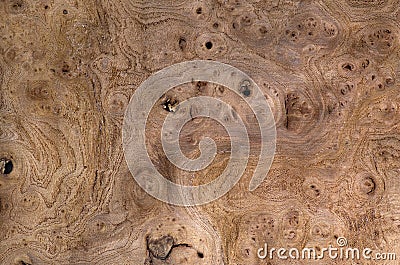 Wood grain texture, exotic veneer background Stock Photo
