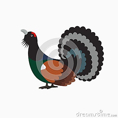 Wood grouse , heather or capercaillie Vector Illustration