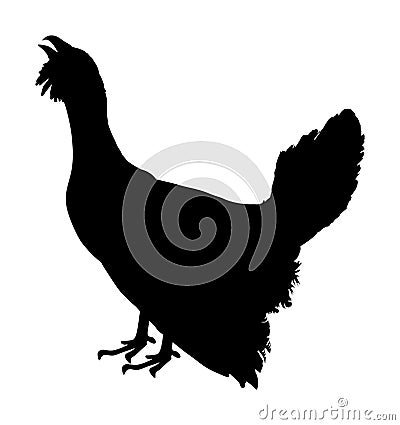 Wood grouse vector silhouette illustration isolated on white background. Cartoon Illustration