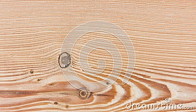 Wood - Larch tree - natural wooden texture Stock Photo