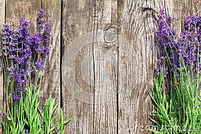Wood Lavender Flowers Background Stock Photo