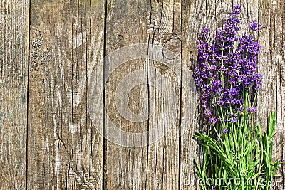 Wood Lavender Flowers Background Stock Photo