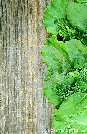 Wood with lettuce, parsley, dill and spinach Stock Photo