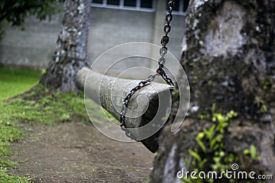 Wood Log Hopping Crossing with Chains Stock Photo