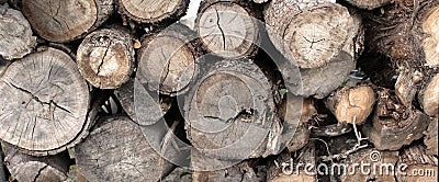 Wood Log Stack Stock Photo