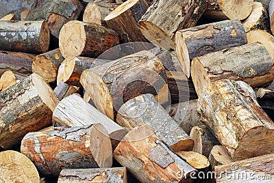 Wood logs Stock Photo