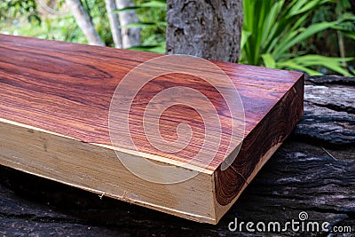 Wood logs of Burmese rosewood, Exotic wooded beautiful pattern Stock Photo