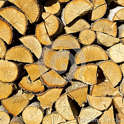 Wood logs Stock Photo