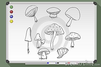 Wood mushrooms set Cartoon Illustration