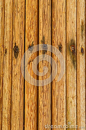 Wood palm tree Background Stock Photo