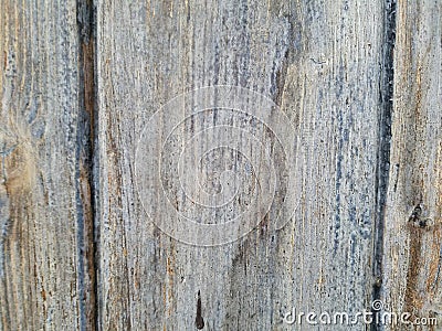 Wood panel with vertical lines, centered panel, weathered natural discoloration Stock Photo