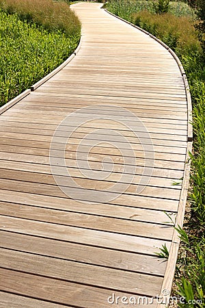 Wood path Stock Photo