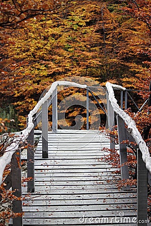 Wood path over a river Stock Photo