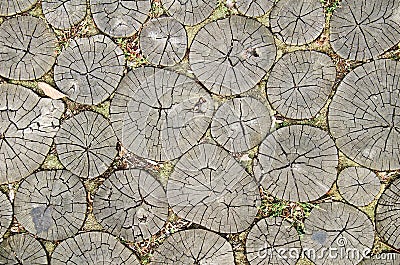 Wood pathway Stock Photo