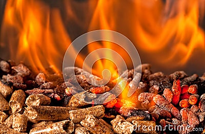 Wood pellet Stock Photo