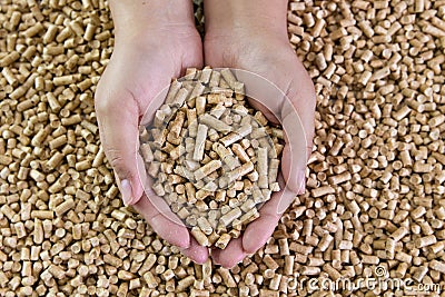 Wood pellets in female hands. Biofuels. Alternative biofuel Stock Photo