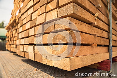 Wood pile bind Stock Photo
