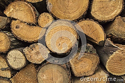 Wood pile stacked Stock Photo