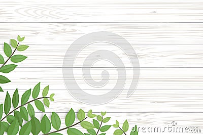 Wood plank pattern and texture with green leaves for natural background. Vector Illustration