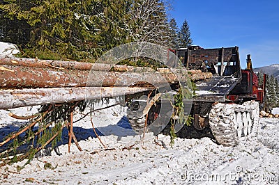 Wood preparation Stock Photo