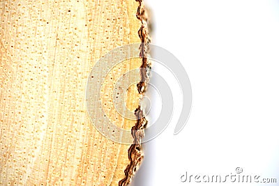 Wood rings - isolated wood rings on white background Stock Photo