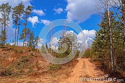 Wood sandy road and a hill with felled forest Stock Photo