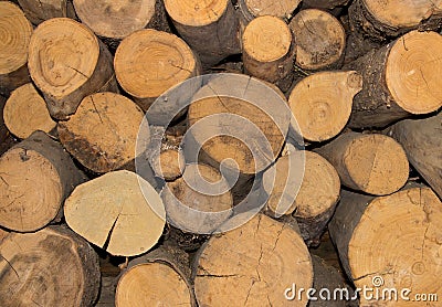 Wood sawed logs natural pattern Stock Photo