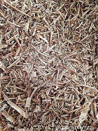 Wood shavings Stock Photo