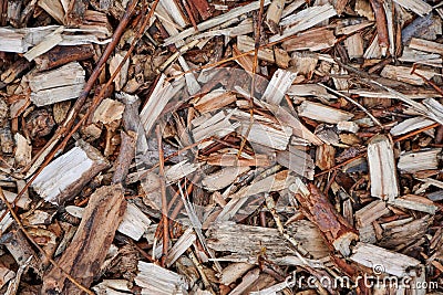 Wood shavings macro, close up timber chips, texture Stock Photo