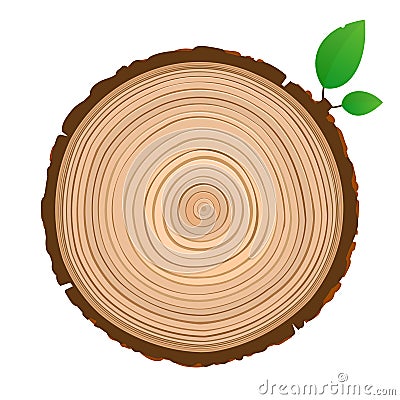 Wood sign icon cross section of the trunk with tree rings Vector Illustration