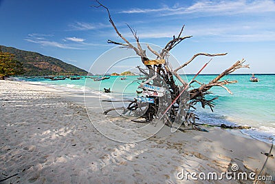 Wood sign on timber tree carcass at beautiful Thailand travel island `Koh Lipe` white sand beach and turquoise sea water with clea Editorial Stock Photo