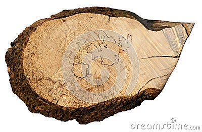 Wood slice cross section Stock Photo