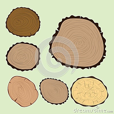 Wood slice texture tree circle cut raw material set detail plant years history textured rough forest vector illustration Vector Illustration