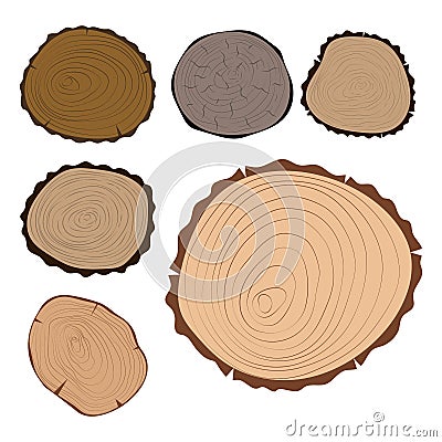 Wood slice texture tree circle cut raw material set detail plant years history textured rough forest vector illustration Vector Illustration