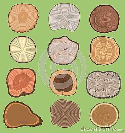 Wood slice texture wooden vector tree life age circle rings cut tree material. Set of tree slices wooden trunk natural Vector Illustration