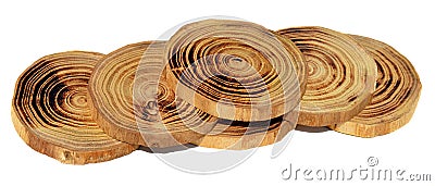 Wood slices Stock Photo