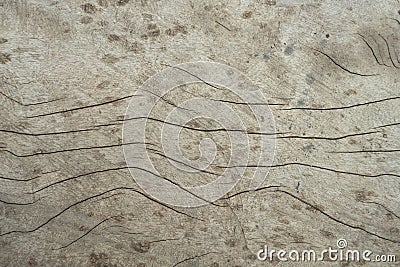 Wood surface background Stock Photo