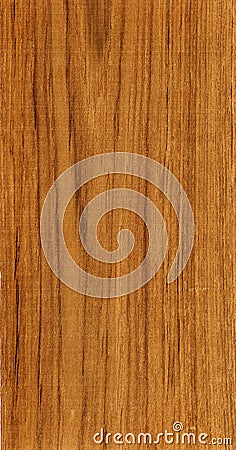 Wood teak Stock Photo