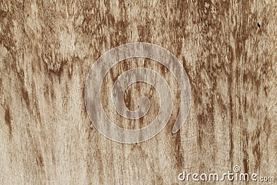 Wood texture background. Stock Photo