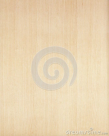 Wood texture background_beech_22 Stock Photo