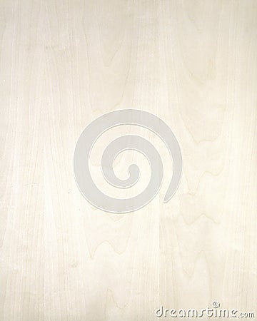 Wood texture background_birch_08 Stock Photo