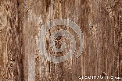 Wood texture background, close-up natural wood grain texture Stock Photo